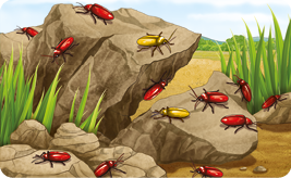 Ilustração de poucos besouros amarelos e muitos besouros avermelhados no ambiente.