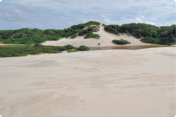Fotografia de uma duna, uma elevação formada por um monte de areia, com vegetação no topo e em volta. Abaixo dela há um lago e à frente areia.