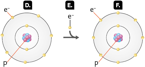 Esquema com ilustrações. A formação de um ânion. Marcado com a letra D, a estrutura de um átomo com o núcleo representado por um aglomerado de pequenas esferas rosas e azuis. As esferas rosas estão indicadas com a letra p minúscula. Ao redor do núcleo, encontram-se os níveis de energia, representados por duas camadas circulares, com esferas amarelas distribuídas, indicadas com uma letra e minúscula com um sinal de menos sobrescrito do lado direito. Na primeira camada circular próxima ao núcleo, existem duas esferas amarelas. Na segunda camada, existem sete esferas amarelas. Marcada com a letra E, há uma seta dupla em que uma se une à outra, apontando para a direita. Acima dela, há uma esfera amarela, indicada com a letra e com sobrescrito negativo. Marcado com a letra F a estrutura de um átomo com o núcleo representado por um aglomerado de pequenas esferas rosas e azuis. As esferas rosas estão indicadas com a letra p minúscula. Ao redor do núcleo, encontram-se dois níveis de energia, com esferas amarelas distribuídas, indicadas com uma letra e minúscula com um sinal de menos sobrescrito do lado direito. No primeiro nível e próximo ao núcleo, existem duas esferas amarelas. No segundo nível, existem oito esferas amarelas.