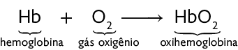 Reação química. H b mais O com subscrito 2, seta para direita, H b O com subscrito 2. A primeira fórmula, H b, está indicada como hemoglobina. A segunda fórmula, O com subscrito 2, está indicada como gás oxigênio. A terceira fórmula, H b O com subscrito 2, está indicada como oxihemoglobina.