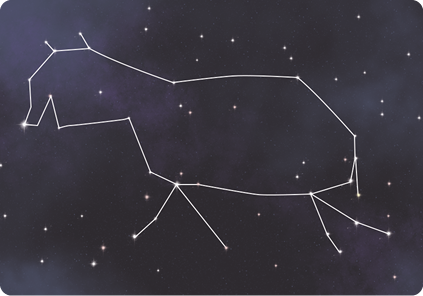 Ilustração do céu à noite, com pontos luminosos e linhas entre eles, formando uma figura semelhante a uma anta, animal quadrúpede, com corpo arredondado, cauda e orelhas.