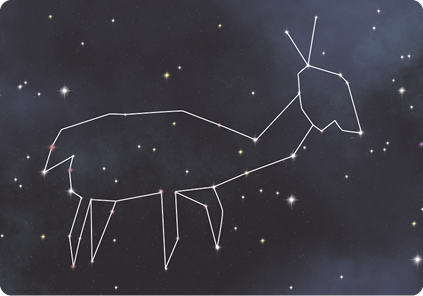 Ilustração do céu à noite, com pontos luminosos e linhas entre eles, formando uma figura semelhante a um cervo, animal quadrúpede, com corpo arredondado, cauda curta e chifres.