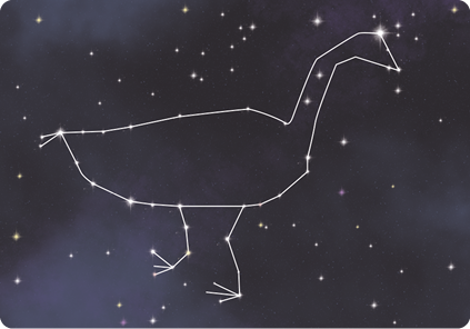 Ilustração do céu à noite, com pontos luminosos e linhas entre eles, formando uma figura semelhante a uma ema, ave de grande porte com pescoço longo.