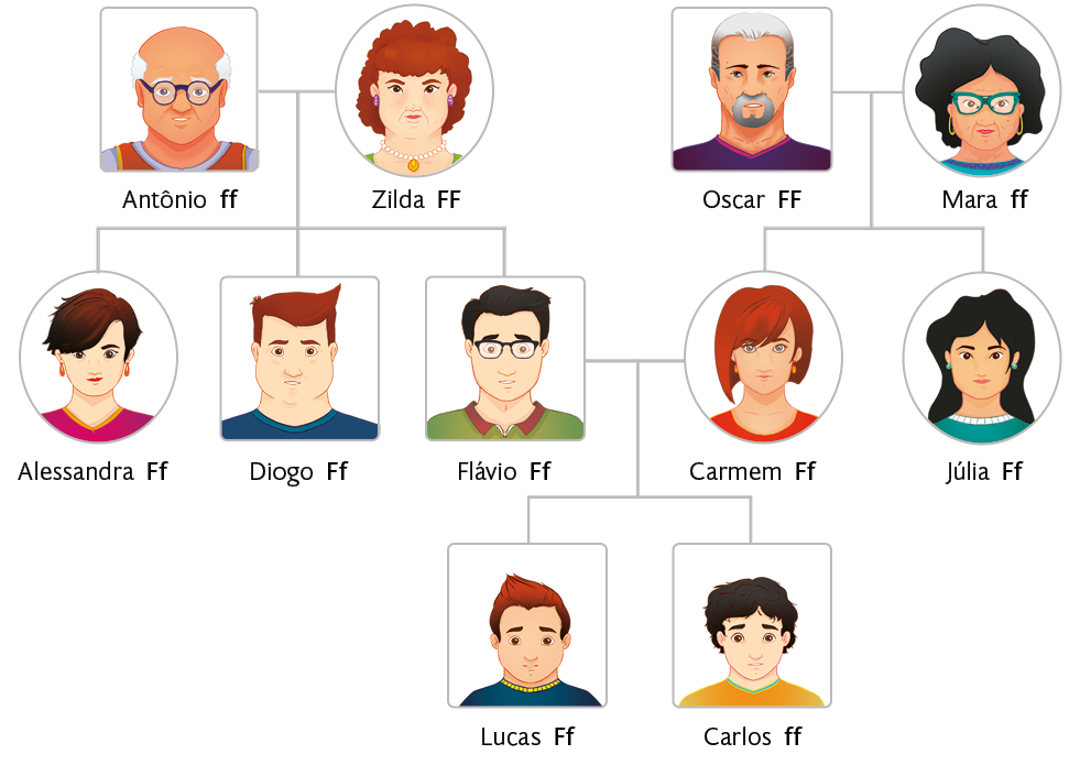 Ilustração de um heredograma com formas geométricas, ilustrações de pessoas e linhas verticais e horizontais. Na parte de cima, do lado esquerdo, há uma linha horizontal entre duas pessoas de idade mais avançada: Antônio, com os alelos ff, dois efes minúsculos; e Zilda, com os alelos FF, dois efes maiúsculos. Da linha entre eles parte uma linha vertical que se divide em três linhas verticais através de uma linha horizontal, que chegam a uma mulher e dois homens: Alessandra, com os alelos Ff, um efe maiúsculo e um efe minúsculo; Diogo, com os alelos Ff, um efe maiúsculo e um efe minúsculo; e Flávio, com os alelos Ff, um efe maiúsculo e um efe minúsculo. Do lado direito há outra família. Há uma linha entre duas pessoas de idade mais avançada: Oscar, com os alelos FF, dois efes maiúsculos; e Mara, com os alelos ff, dois efes minúsculos. Da linha entre eles parte uma linha vertical que se divide em duas linhas verticais através de uma linha horizontal, que chegam a duas mulheres, Júlia, com os alelos Ff, um efe maiúsculo e um efe minúsculo; e Carmem, com os alelos Ff, um efe maiúsculo e um efe minúsculo. Há uma linha horizontal entre Flávio, do lado esquerdo, e Carmem, do lado direito. Da linha entre eles parte uma linha vertical que se divide em duas linhas verticais através de uma linha horizontal, que chegam a dois meninos, Lucas, com os alelos Ff, um efe maiúsculo e um efe minúsculo; e Carlos, com os alelos ff, dois efes minúsculos.