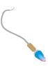 Ilustração de um espermatozoide, uma estrutura com uma porção arredondada em uma extremidade e uma cauda na outra.