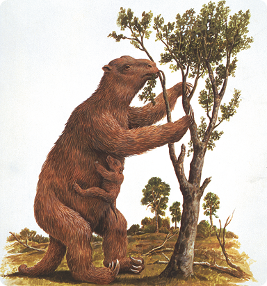 Ilustração de animal quadrúpede de grande porte, cauda e garras longas, pelos curtos, em pé sobre as duas patas traseiras e as duas patas dianteiras apoiadas em uma árvore à sua frente, com um filhote se segurando à região ventral.