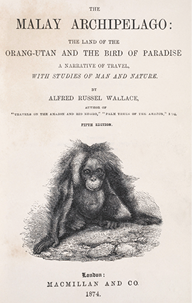 Fotografia da página de um livro com um título em inglês: malay archipelago. Há outros escritos e abaixo a ilustração de um primata.