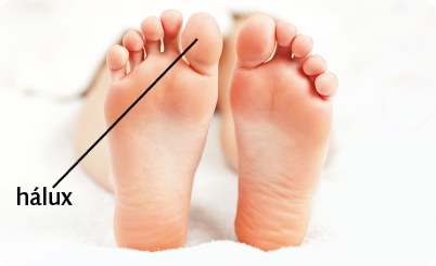 Fotografia de dois pés humanos juntos, com vista para a sola do pé e destaque para o polegar, denominado hálux.