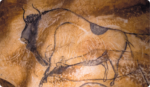 Fotografia de uma superfície rochosa com um desenho de um bisão, animal quadrúpede, robusto, com chifres.