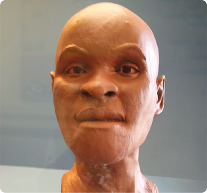 Fotografia de uma representação do pescoço para cima de um Homo sapiens sem cabelo, pele clara, nariz largo e lábios grossos.