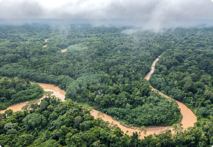 Fotografia aérea de um extenso rio com curvas e água marrom em meio à densa vegetação. Há uma névoa branca acima das árvores.