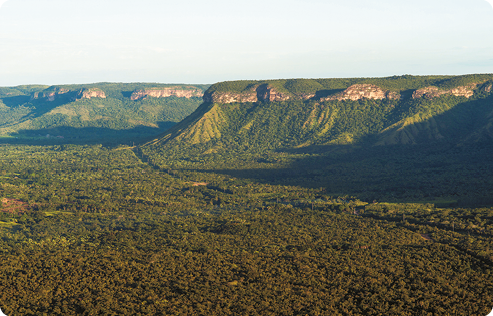 Fotografia aérea de montanhas com o topo plano e vegetação em toda sua extensão. O terreno em volta das montanhas também está coberto por vegetação.