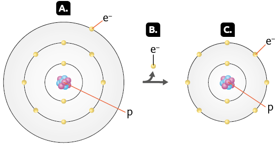 Esquema com ilustrações. Marcado com a letra A, a estrutura de um átomo com o núcleo representado por um aglomerado de pequenas esferas rosas e azuis. As esferas rosas estão indicadas com a letra p minúscula. Ao redor do núcleo, encontram-se os níveis de energia, três camadas circulares, com a primeira, a partir do núcleo, com duas esferas amarelas, a segunda com 8 esferas amarelas e a terceira com uma esfera amarela. A esfera amarela está indicada com uma letra e minúscula com um sinal de menos sobrescrito do lado direito. Do lado direito, marcada com a letra B, uma seta dupla apontando para cima e para a direta. Acima dela, há uma esfera amarela, indicada com a letra e com o sobrescrito negativo. Marcado com a letra C, a estrutura do átomo menor. Ao centro, o núcleo representado por um aglomerado de pequenas esferas rosas e azuis. As esferas rosas estão indicadas com a letra p minúscula. Ao redor do núcleo, encontram-se os níveis de energia, duas camadas circulares com esferas amarelas. A primeira, a partir do núcleo, com duas esferas amarelas, e a segunda, com 8 esferas amarelas. A esfera amarela está indicada com uma letra e minúscula com um sinal de menos sobrescrito do lado direito.