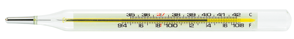 Fotografia de um termômetro. Ele possui formato cilíndrico, com uma extremidade mais fina, de coloração prateada. Na parte interna há uma região estreita que se inicia na porção prateada em vai em direção à outra extremidade do termômetro. Essa região está parcialmente preenchida na cor cinza. Também há uma escala de temperatura na parte interna.