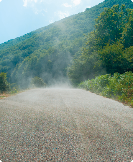 Fotografia. Uma névoa branca saindo de uma estrada com muita vegetação nas laterais e ao fundo.
