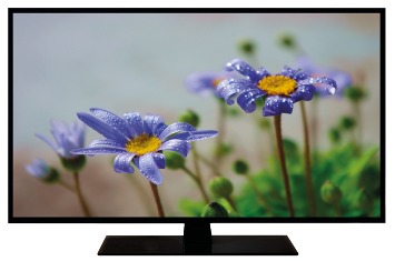 Fotografia de uma televisão retangular com a imagem de flores com pétalas roxas em sua tela.