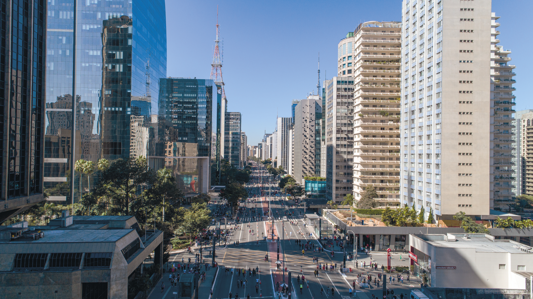 Fotografia. Extensa avenida com muitas pessoas trafegando, calçadas com algumas árvores e repleta de edifícios nas margens.