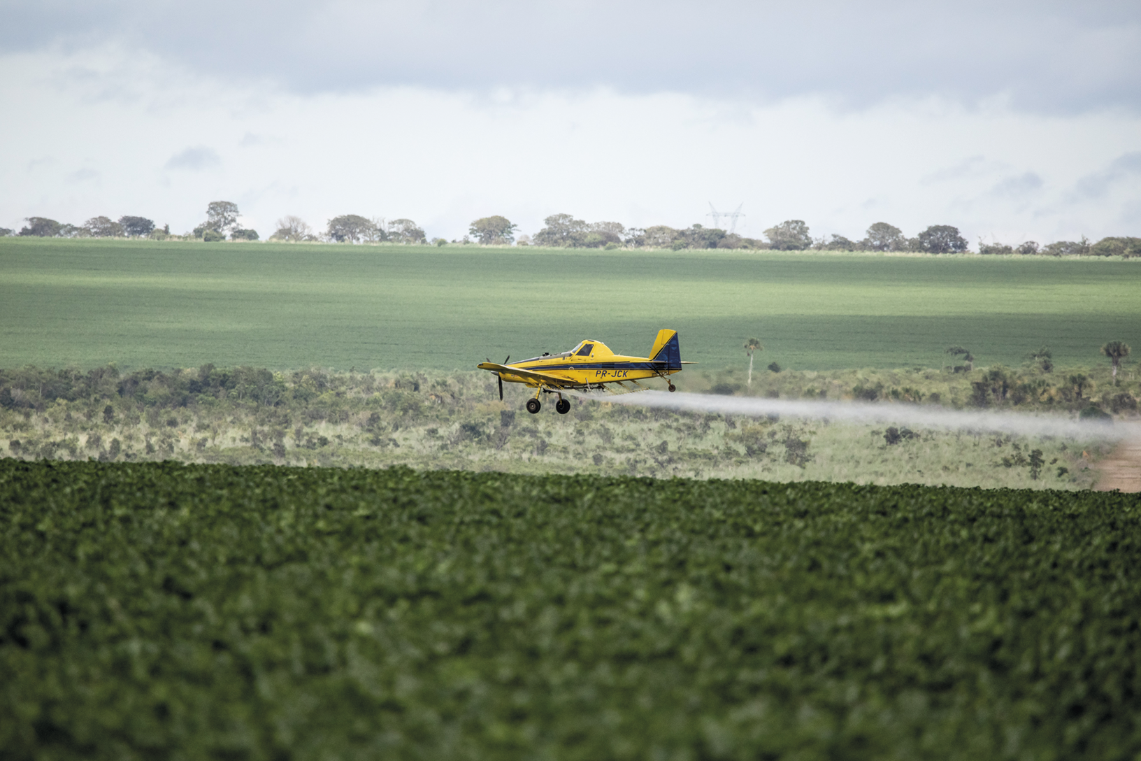 Fotografia. Um pequeno avião amarelo sobrevoando uma plantação. Há um jato sendo despejado dele. Ao fundo, vasto campo aberto e árvores.