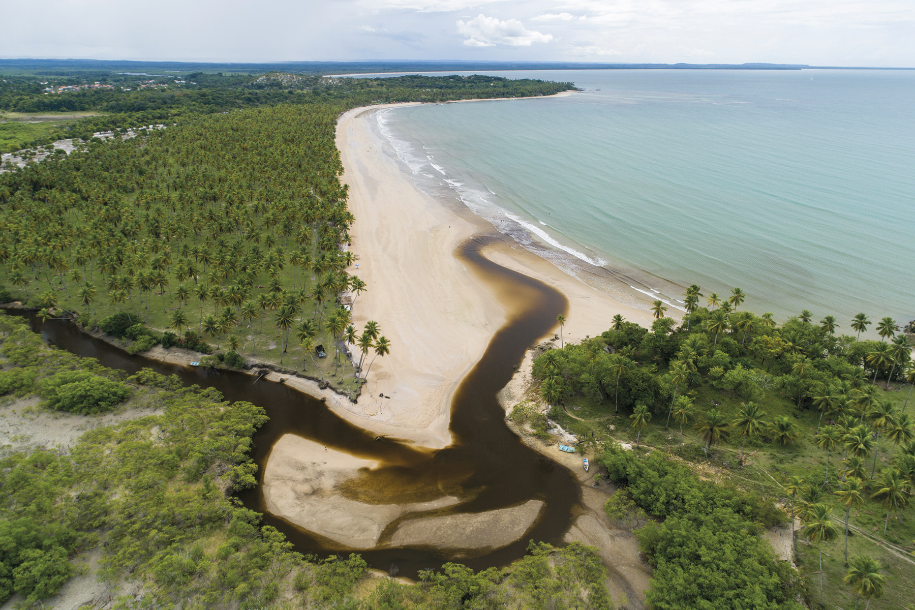 Fotografia. Vista de cima. O curso de um rio escuro desaguando em uma praia com muita vegetação e uma extensa faixa de areia.