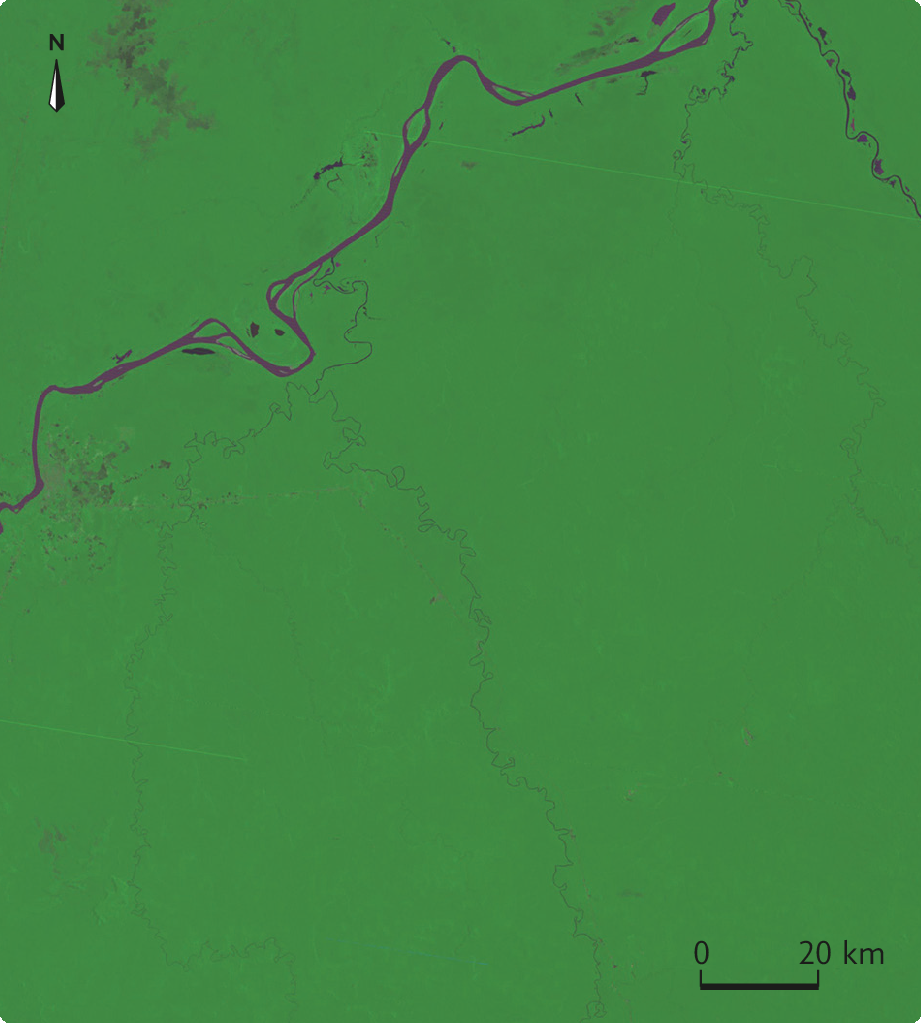 Fotografia. Vista aérea. Imagem de satélite de área completamente coberta por vegetação com o curso de um rio na diagonal, da porção norte. No canto superior esquerda, seta apontando para o norte e no canto inferior direito, a escala: 20 quilômetros por centímetro.
