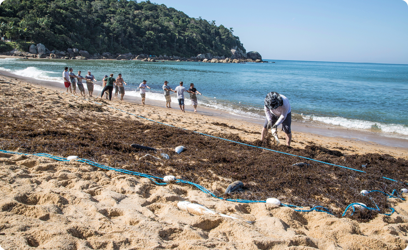 Fotografia. Uma praia com uma pessoa recolhendo peixes de uma rede que está esticada na areia. Ao fundo, um grupo de pessoas enfileiradas puxando uma rede do mar.