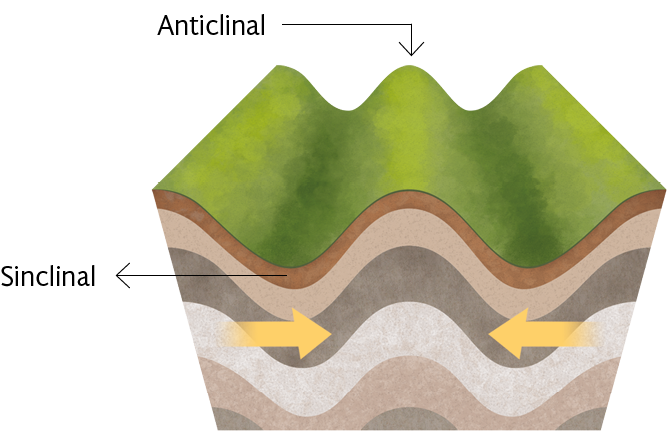 Esquema. Bloco com solo com dobras formando cadeia de montanhas. Abaixo da superfície setas indicam que as camadas se aproximam. O pico de uma delas é indicado como: Anticlinal, e um dos vales é indicado como: Sinclinal.