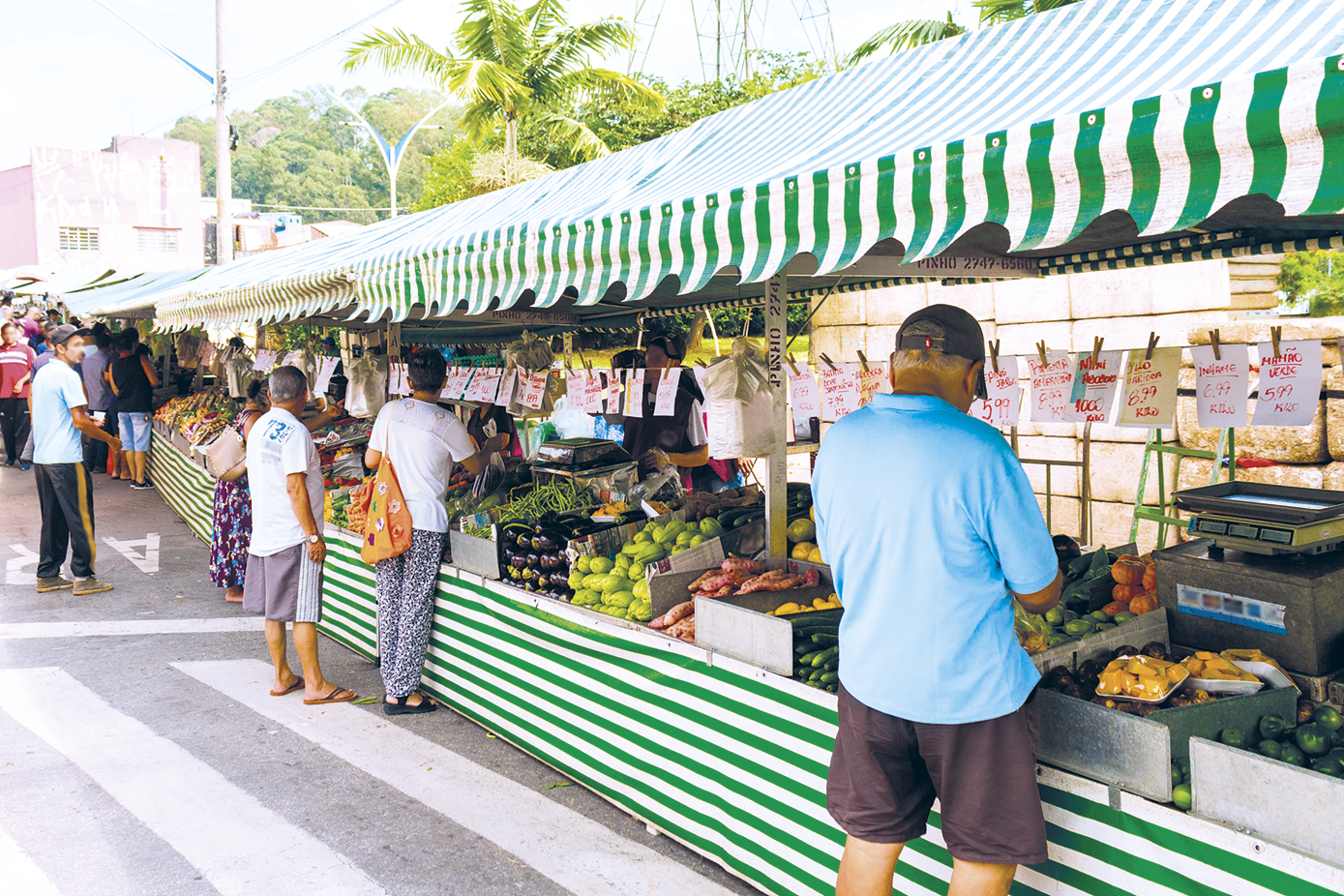 Fotografia. Uma feira com barracas dispostas em uma rua. Há legumes e frutas expostos e pessoas em frente as barracas. Ao fundo, árvores.