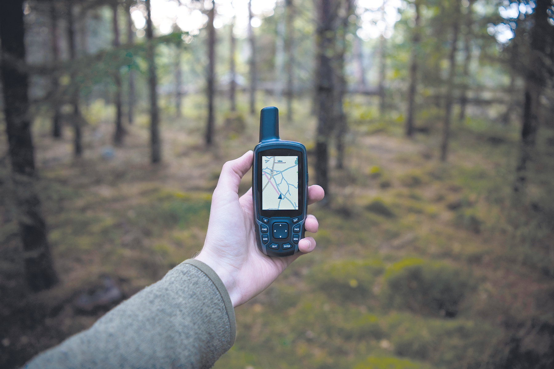 Fotografia. Destaque para uma pessoa segurando um aparelho GPS mostrando vias. Ao fundo, uma floresta.