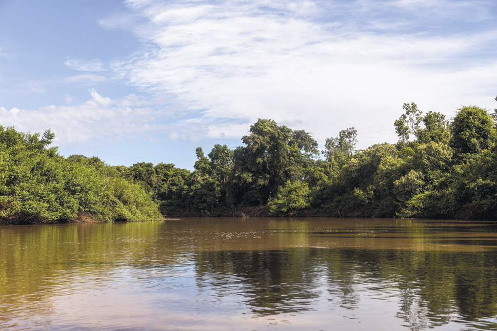 Fotografia. Um rio com as margens repletas de mata densa.