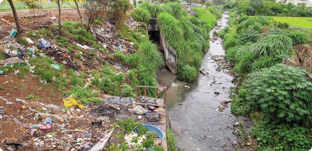 Fotografia. Córrego estreito entre arbustos e área com arbustos. À esquerda, terra e lixo espalhado.