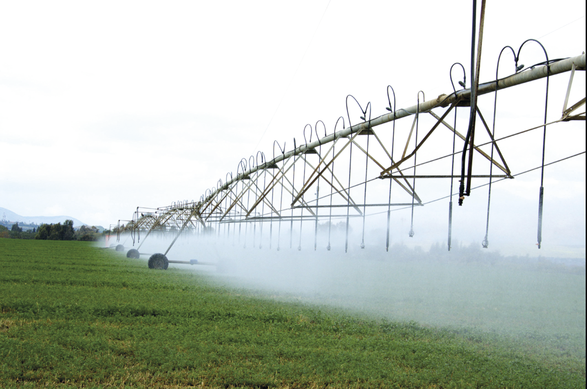 Fotografia. Uma estrutura de irrigação com dutos e canos jorrando água sobre uma área plana de plantio.
