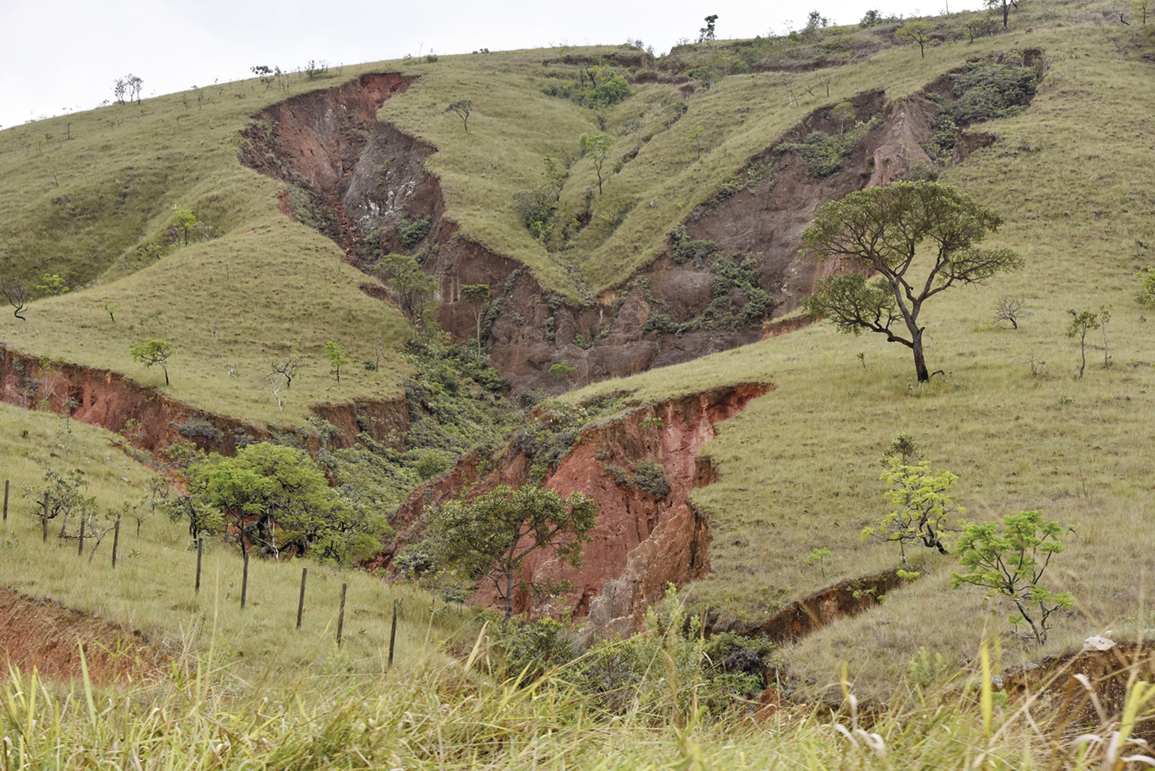 Fotografia. Terreno inclinado, coberto por vegetação rasteira com grandes fendas, com alguns arbustos em seu interior.