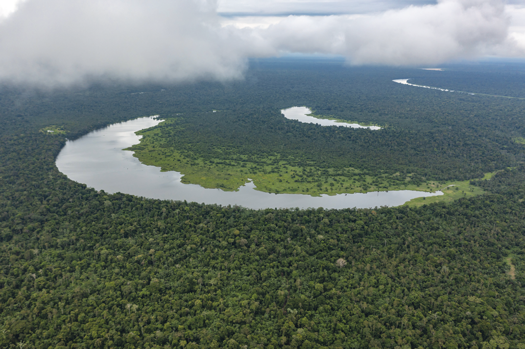 Fotografia. Vista de cima. Floresta com o curso de um rio sinuoso.