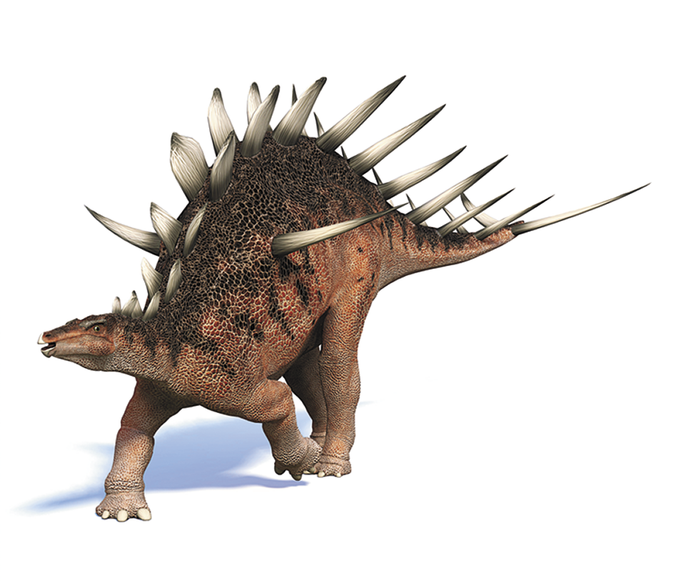 Ilustração. Um dinossauro de corpo alaranjado com uma espécie de chifres ao longo de suas costas.