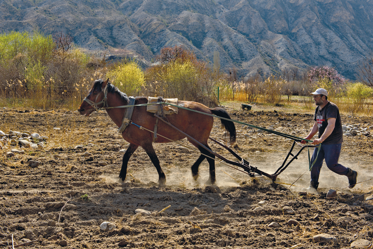 Fotografia. Um homem preparando a terra com um arado, uma ferramenta que um cavalo puxa e um homem conduz. Ao fundo há árvores e morros.