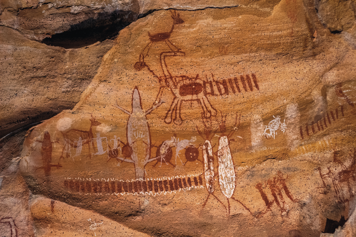 Fotografia. Pinturas rupestres em uma rocha irregular. Há figuras de animais quadrúpedes e traços verticais paralelos.