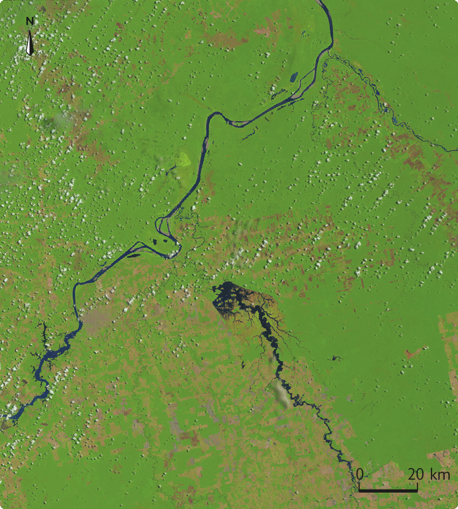 Fotografia. Vista aérea. Imagem de satélite de áreas cobertas por vegetação e áreas desmatadas, com o curso de um rio na diagonal, ao centro e outro ao sul em direção ao centro. No canto superior esquerda, seta apontando para o norte e no canto inferior direito, a escala: 20 quilômetros por centímetro.