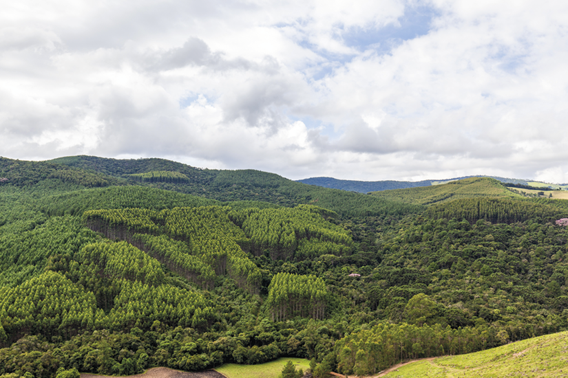 Fotografia. Vista de cima. Uma floresta densa entre morros. Há nuvens no céu.