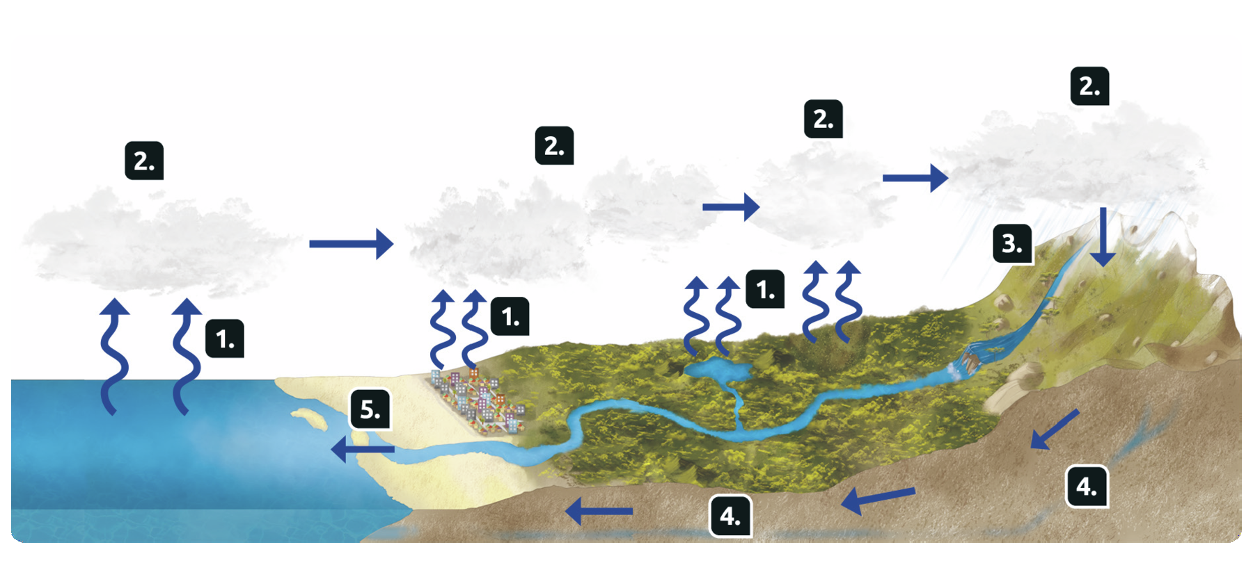 Esquema. À esquerda, o mar, em frente, uma faixa de areia seguido por uma pequena cidade. Atrás dela, a encosta de um morro coberto por vegetação e com o curso de um rio que deságua no mar. À direita, uma montanha. Por toda a cena há setas e números. O número 1 indica setas acima do mar, da cidade e da vegetação que se direcionam às nuvens acima. O número 2 aponta nuvens sobre o mar com setas que se direcionam às nuvens sobre a cidade, a vegetação e as montanhas. O número 3, de onde parte uma seta para baixo sobre a nascente do rio. O número 4, indica setas do subsolo partem em direção ao mar. Por fim, o número 5, aponta setas do rio desaguando no mar.