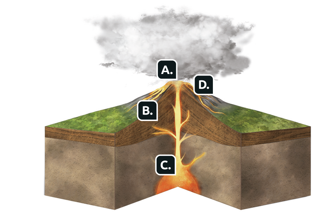 Esquema. Estrutura de um vulcão. Interior de um vulcão com indicações com letras. Letra A, cratera no topo, de onde escorre lava, letra D. Há fumaça acima dela. Na formação do vulcão, letra B, há um duto por onde sobe o magma que está armazenado na parte inferior, letra C.