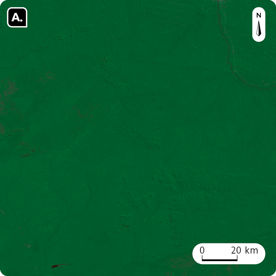 Fotografia A. Vista aérea. Imagem de satélite de área coberta por vegetação. No canto superior direito, seta apontando para o norte e na parte inferior, a escala: 20 quilômetros por centímetro.