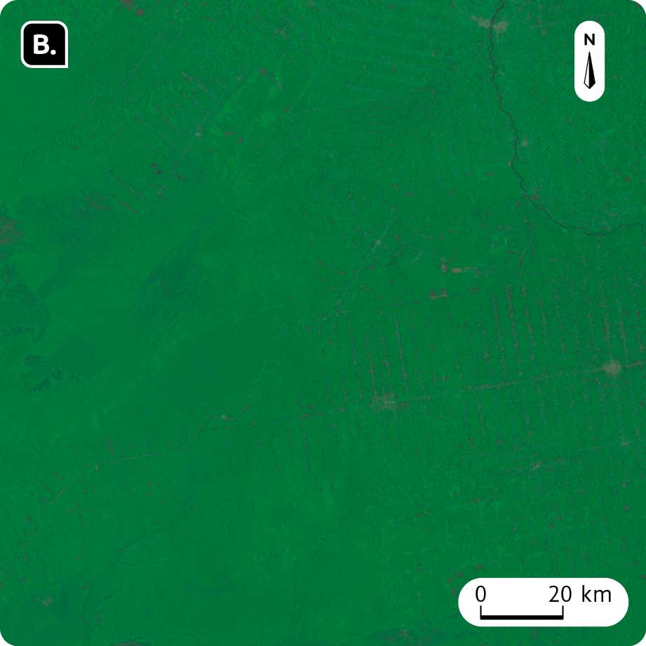 Fotografia B. Vista aérea. Imagem de satélite de área coberta por vegetação. No canto superior direito, seta apontando para o norte e na parte inferior, a escala: 20 quilômetros por centímetro.