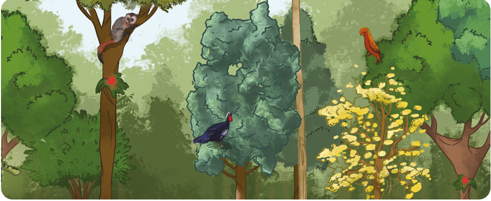 Ilustração 2. Copa de árvores menores com aves e um esquilo.
