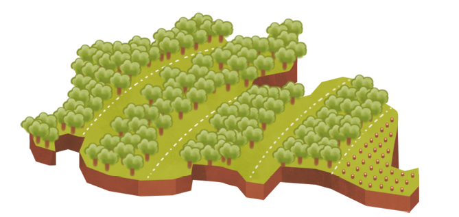 Ilustração 1. Solo dividido em faixas com árvores e solo com vegetação rasteira.