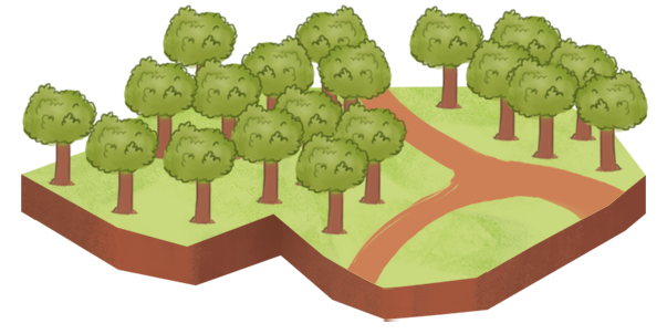 Ilustração 2. Área com uma estrada de terra entre árvores.