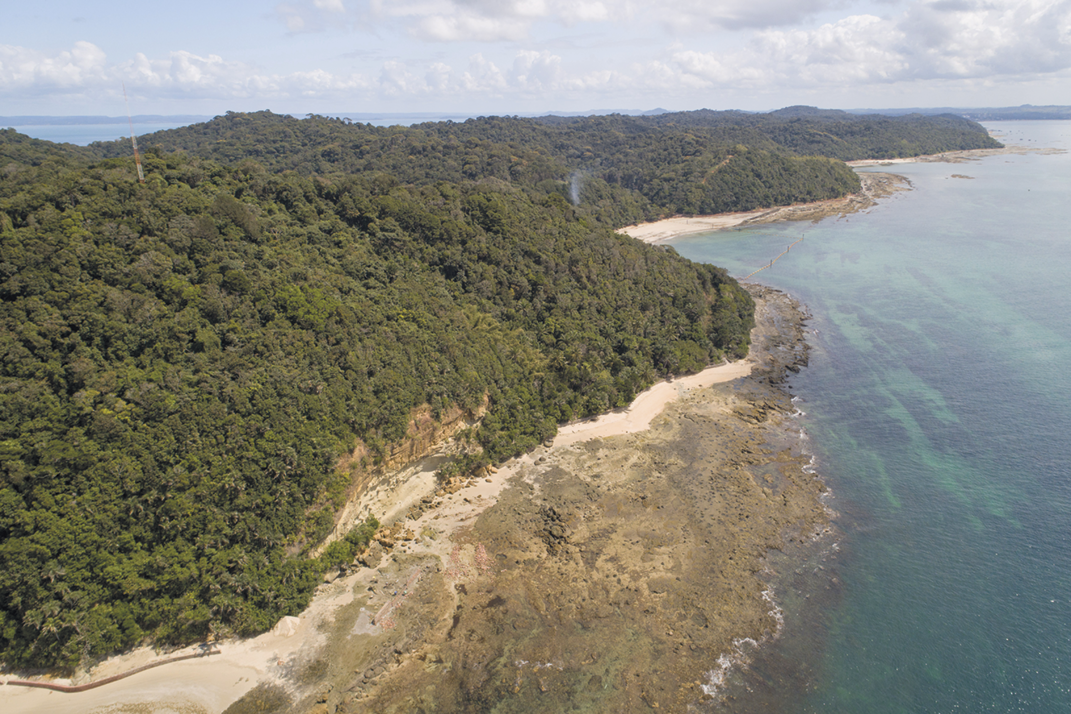 Fotografia. Vista aérea. Morro rochoso coberto por vegetação densa. Em frente, o mar.