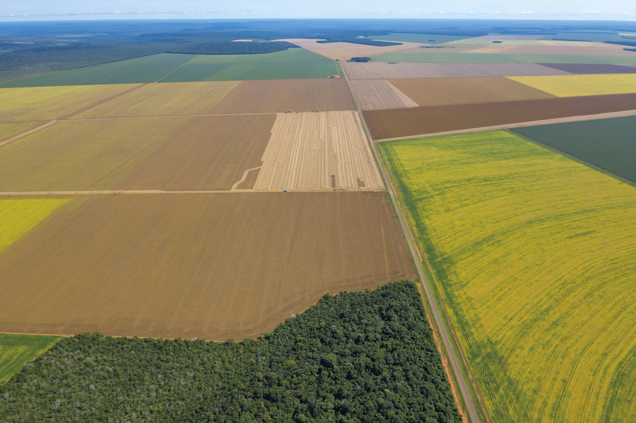 Fotografia. Vista aérea. Diversas áreas de plantação em tons diferentes.