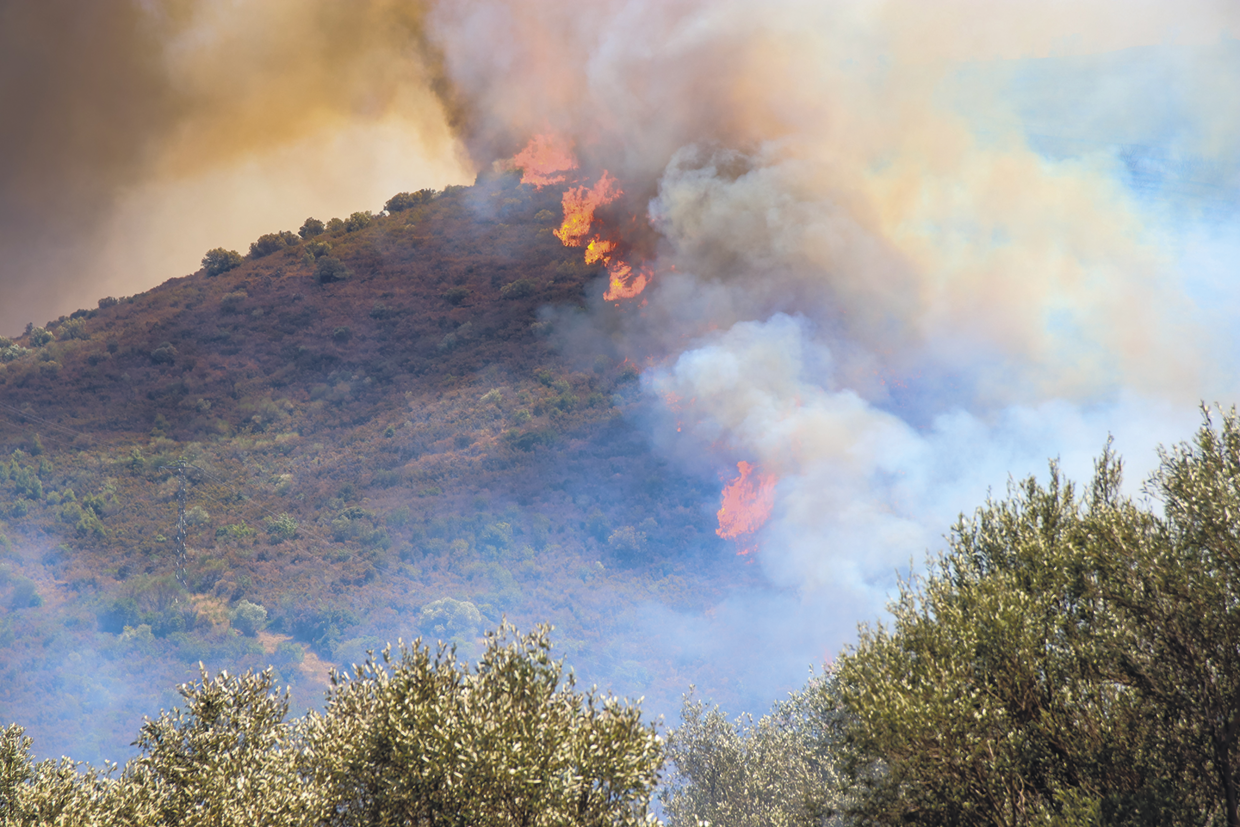 Fotografia. Terreno elevado com uma floresta em chamas. Há muita fumaça ao redor.