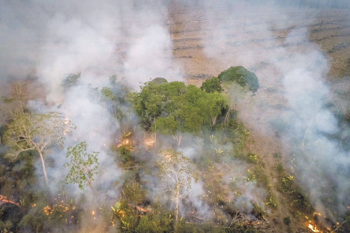 Fotografia. Vista aérea. Uma floresta em chamas. Há fogo e muita fumaça entre árvores. Ao fundo, área desmatada.