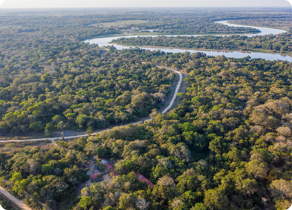 Fotografia. Vista aérea. Curso de um rio sinuoso entre uma floresta densa.
